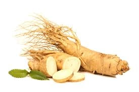 Fresh ginseng roots
