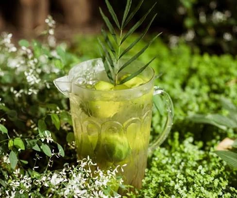 Fresh green tea infusion with herbs